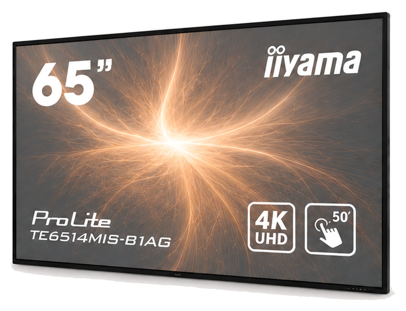 iiyama ProLite TE6514MIS-B1AG